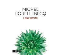 Michel Houellebecq Hinrich Schmidt- Lanzarote: Erzählung (Taschenb (Tapa blanda)