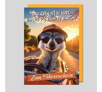 Michel Verlag Tarjeta plegable divertida de 17 x 12 cm, incluye sobre, tarjeta para aprobar el examen de conducción, tarjeta de felicitación para conducir coche o moto, fabricado en Alemania