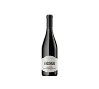 Michelini i Mufatto Encinado 2021