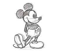Mickey Mouse Sketched Canvas, poliéster, Multicolor, 40 x 50 cm