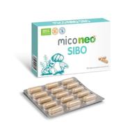 MICO NEO - Complemento Alimenticio con Melena de León y Saccharomyces Boulardi - Probiótico Natural para Afecciones Intestinales
