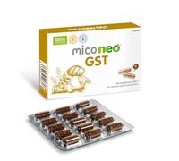 Mico Neo GST 60 cápsulas - Neo