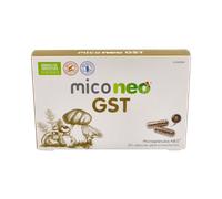 Mico Neo GST 60 cápsulas Neovital - complemento alimenticio para el bienestar digestivo