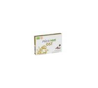 Neoflash Suplemento Mico Neo GST Reishi, Melena de León, Shiitake y Cúrcuma 60 cápsulas