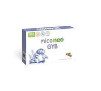 MICO NEO | GYB | 60 Cápsulas | Suplemento Alimenticio de Hongos Naturales Para Equilibrio intestinal y claridad mental | Con Melena de León y Probiótico
