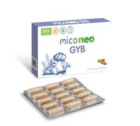 MICO NEO | GYB | 60 Cápsulas | Suplemento Alimenticio de Hongos Naturales Para Equilibrio intestinal y claridad mental | Con Melena de León y Probiótico