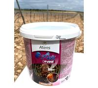 Micorrizas y trichodermas de plantacion en pastillas para viña 500uds. Asir VINE