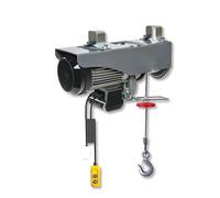 Micro polipasto eléctrico, grúa hogar pequeño elevador polipasto 1 tonelada/0,5 T cabrestante decoración grúa motor de cobre puro(12M)