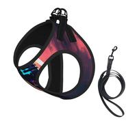 Micrófono con estampado de notas musicales, arnés para perro pequeño con correa, arnés para cachorros sin escape Easy Walk para entrenamiento y caminata