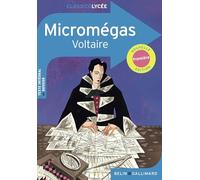 Micromégas: Histoire philosophique