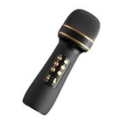 Microphone for Singing | Portable Cordless Mic Speaker | Multifunctional Wireless Microphones, Speakers, Voice Recorders, Music Players for Family, Friends, Karaoke, Fun