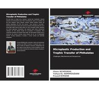 Microplastic Production and Trophic Transfer of Phthalates: Challenges, Mechanisms and Perspectives