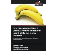 Micropropagazione e produzione di massa di semi sintetici nella banana: Produzione di Synseeds da piante di banana micropropagate