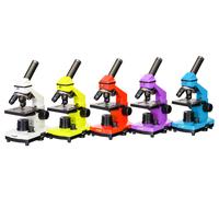 Microscopio levenhuk rainbow 2l plus
