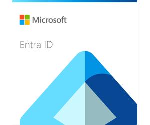 Microsoft CFQ7TTC0MFT1-0004 Suscripción mensual de Gobernanza de Entra ID