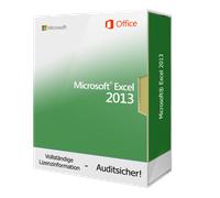 Microsoft Excel 2013 Descarga