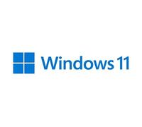 Microsoft Windows 11 Pro Producto empaquetado completo (FPP; full packaged product) 1 licencia(s)