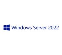 Microsoft OEM Windows Server 2022 CAL Licencia de Acceso de Cliente para 10 Usuarios