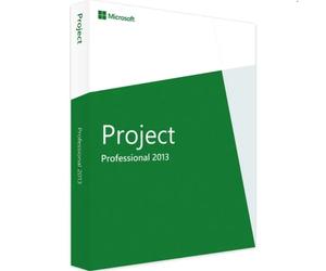Microsoft Project 2013 Professional
