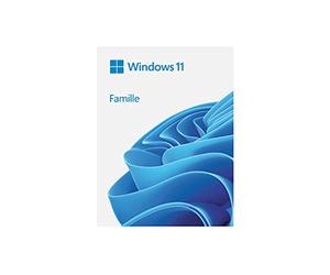 Microsoft Sof MS Win 11 Home FR 64 bit