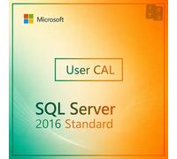 Microsoft SQL Server 2016 CAL Usuario