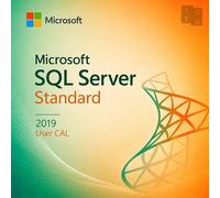 Microsoft SQL Server 2019 CAL Usuario