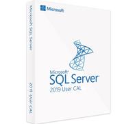 Microsoft SQL Server 2019 Standard (CAL) - Licencia completa