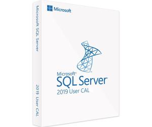 Microsoft SQL Server 2019 Standard (CAL) - Licencia completa