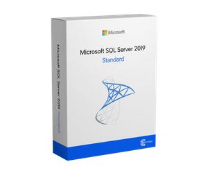 Microsoft SQL Server 2019 Standard - Lifitime