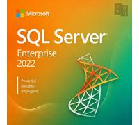 Microsoft SQL Server 2022 Enterprise 2-Core