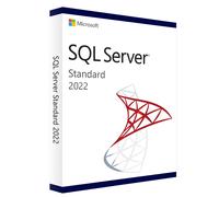 Microsoft SQL Server 2022 Standard - 24 núcleos - Licencia permanente basada en núcleos