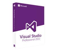 Microsoft Visual Studio 2022 Professional