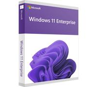 Microsoft Windows 11 Enterprise,