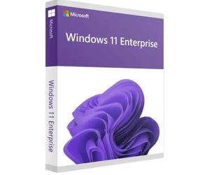 Microsoft Windows 11 Enterprise