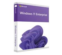 Microsoft Windows 11 Enterprise - Activación en línea - Licencia de por vida