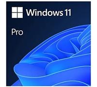 Microsoft windows 11 pro 1 licencia(s)