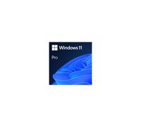 Microsoft Windows 11 Pro 64Bit Español Licencia Permanente FPP Descarga Digital