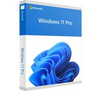 Microsoft Windows 11 Pro