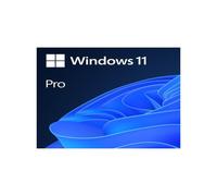 Microsoft Windows 11 Pro 64b Es OEM DVD