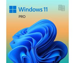 Microsoft Windows 11 Professional