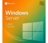 Microsoft Windows Server 2022 CAL Usuario