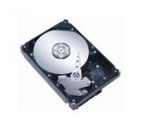 MicroStorage AHDD029 - Disco Duro (3.5", 750 GB, 7200 RPM)