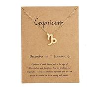 MIDJ Colgante Constelaciones,12 Collar del Zodiaco Capricornio Signo del Zodiaco Colgante Astrología Horóscopo Collar Colgante Dorado Regalo Astrológico para Mujeres Hombres Único
