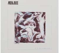 Midlake For The Sake Of Bethel.. (CD) (Importación USA)