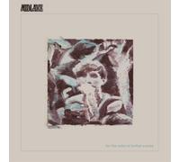 Midlake - For the Sake of Bethel Woods