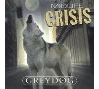 midlife crisis - Grey Dog