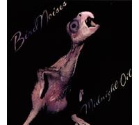 Midnight Oil - Bird Noises 1980
