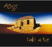 Midnight Oil - Diesel and Dust
