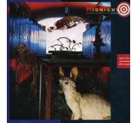 Midnight Oil - Species Deceases (Remastered)