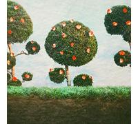 Midnight Sister - Painting The Roses [Vinilo]